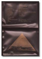 Fast Forward 8/9 -back Fast Forward 8/9 -back